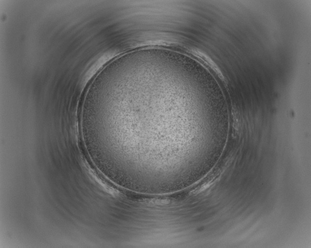 X0000072550890200607211356