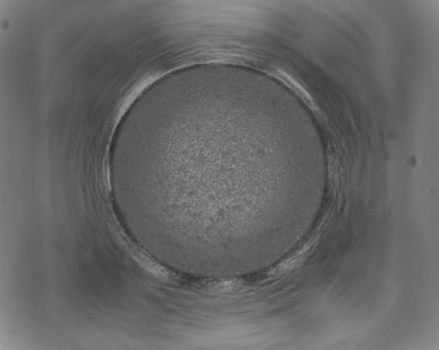 X0000072550891200607211356