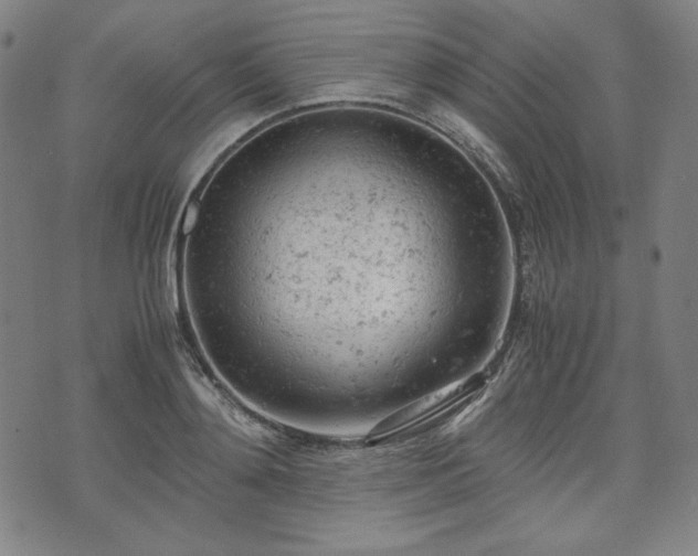 X0000072550892200607211356