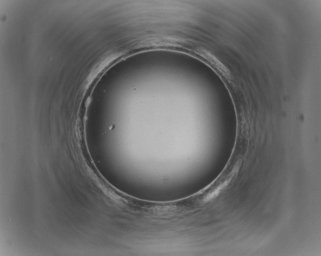 X0000072550893200607211356