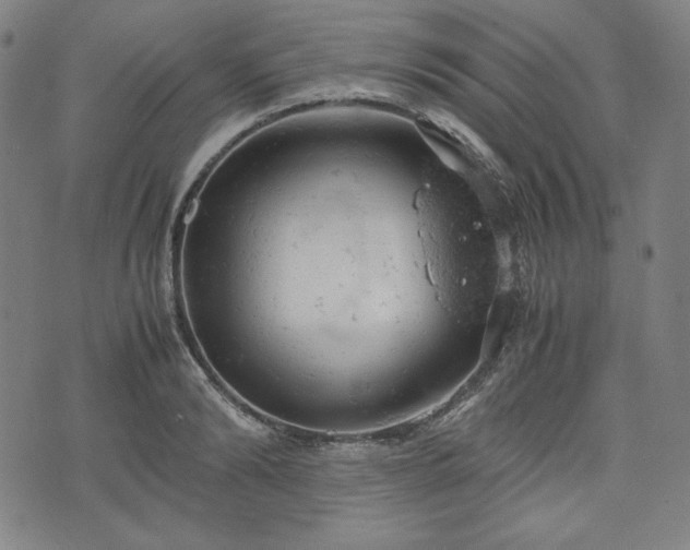 X0000072550894200607211356