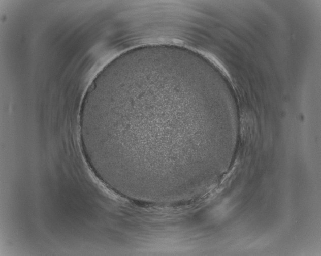 X0000072550895200607211356