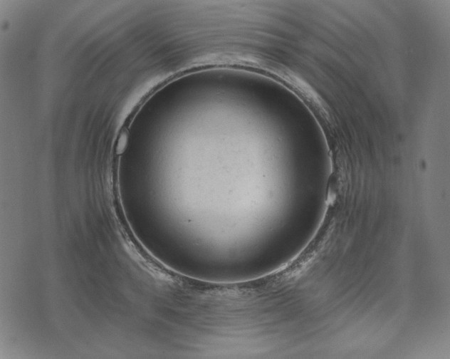 X0000072550896200607211356