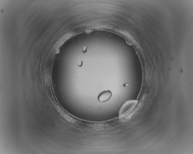 X0000072550897200607211356