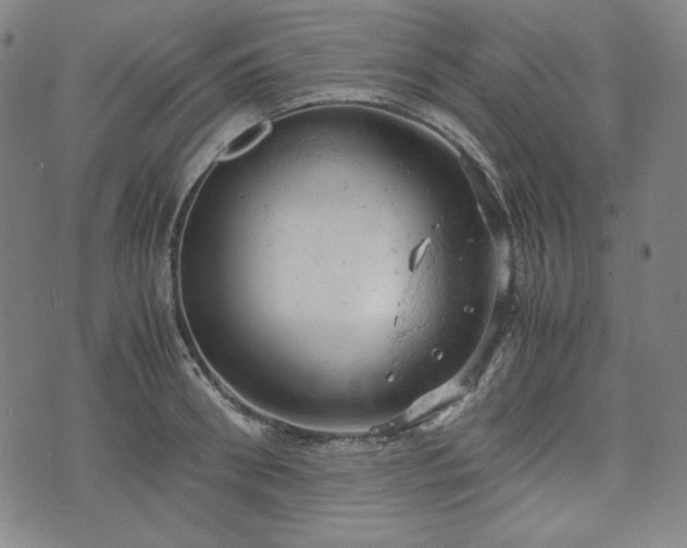 X0000072550898200607211356