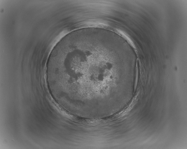 X0000072550899200607211356