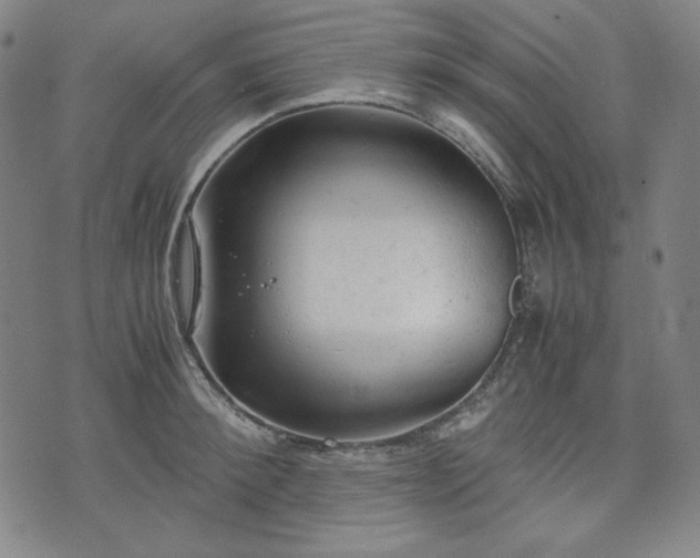 X0000072550900200607211356