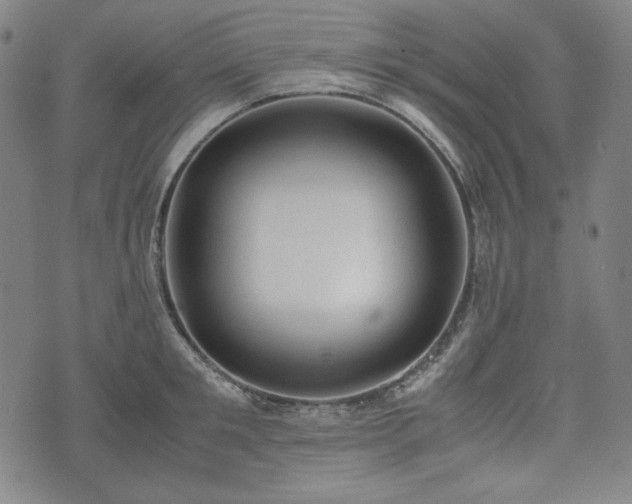 X0000072550901200607211356