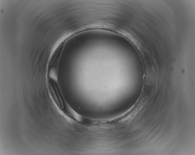 X0000072550902200607211356