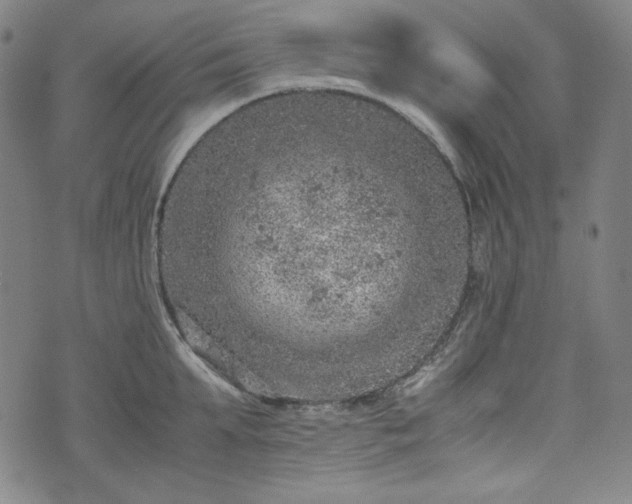 X0000072550903200607211356