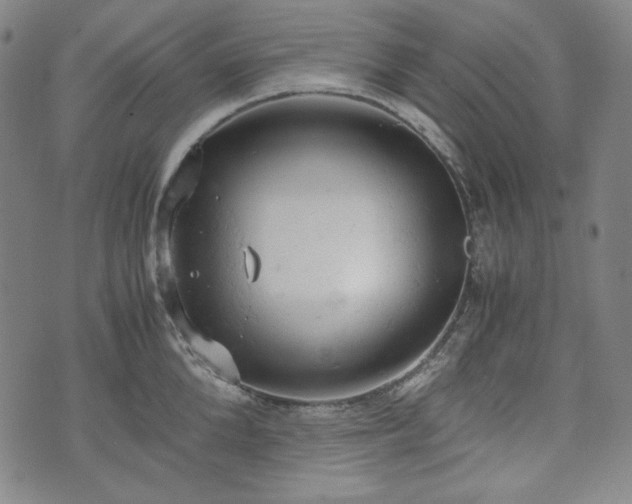 X0000072550904200607211356