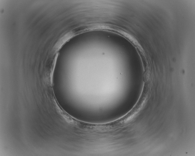 X0000072550905200607211356