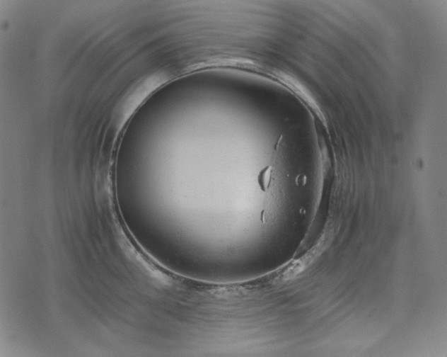 X0000072550906200607211356