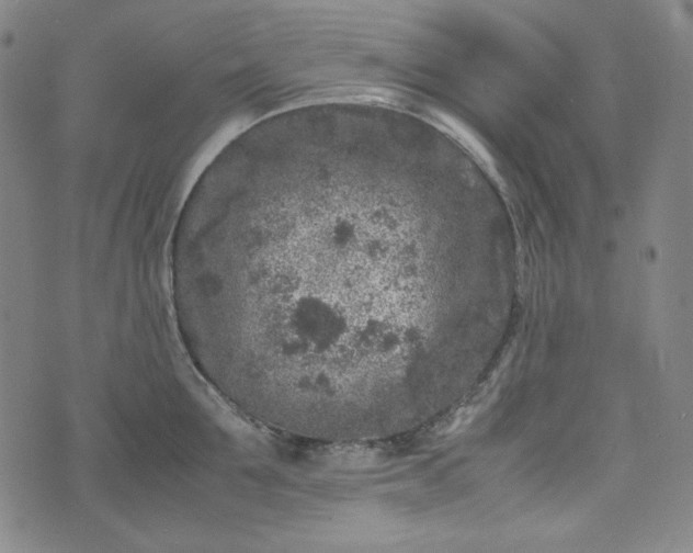 X0000072550907200607211356