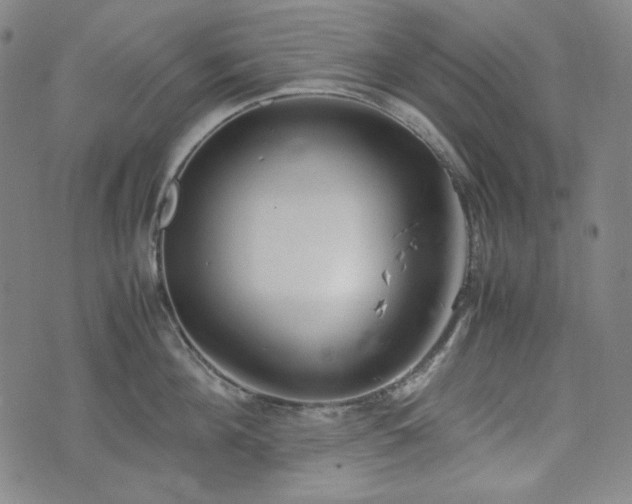 X0000072550908200607211356