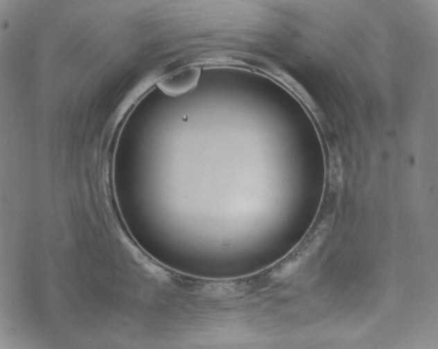 X0000072550909200607211356