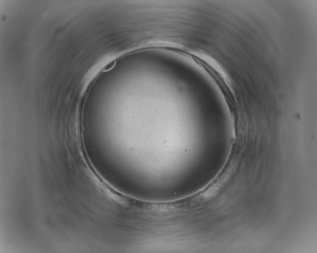 X0000072550910200607211356