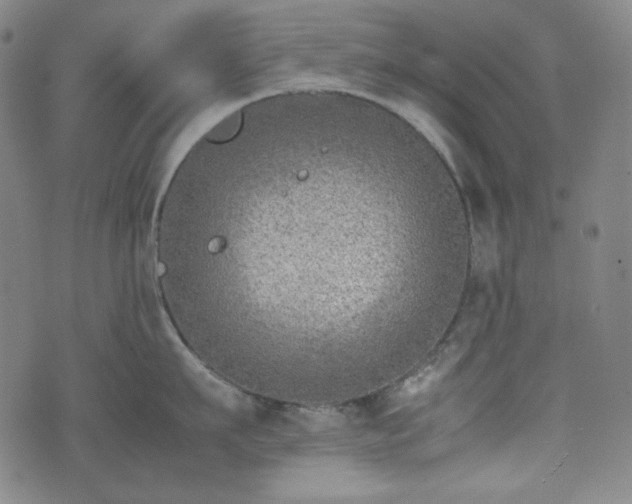 X0000072550911200607211356