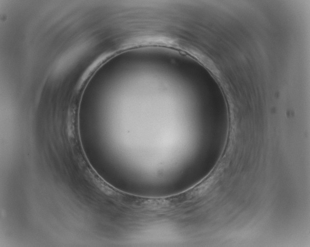 X0000072550912200607211356