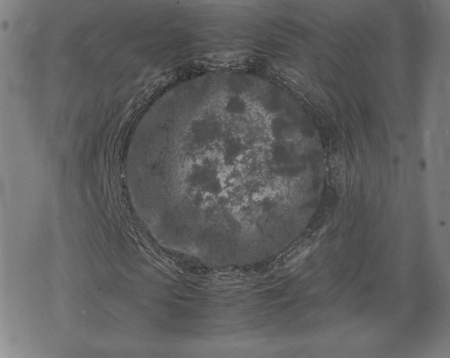 X0000072550913200607211355