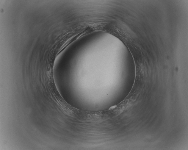 X0000072550914200607211355