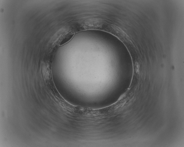 X0000072550915200607211355