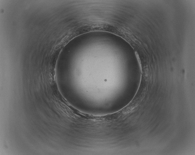 X0000072550916200607211355