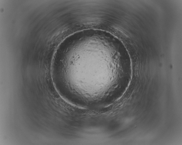 X0000072550917200607211355