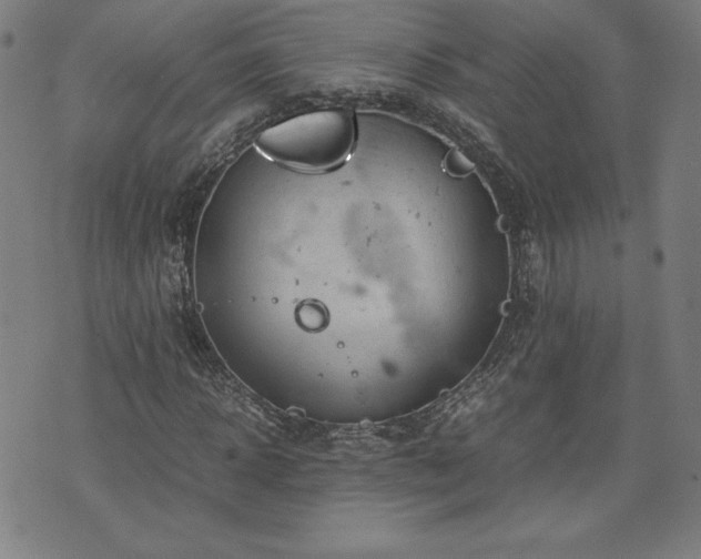 X0000072550918200607211355