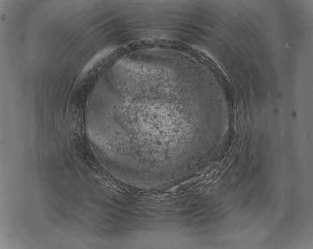 X0000072550919200607211355