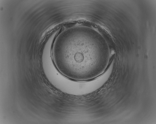 X0000072550920200607211355