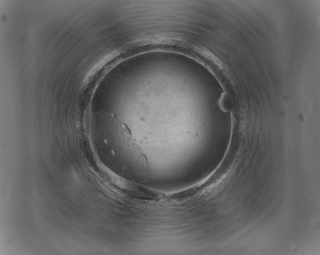 X0000072550922200607211355