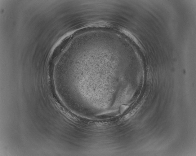 X0000072550923200607211355