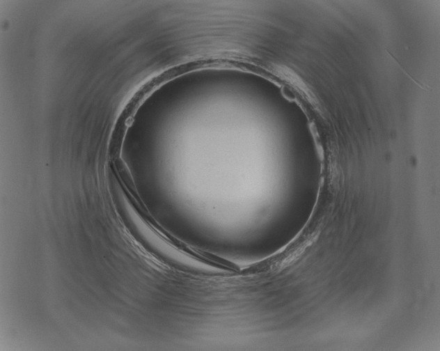 X0000072550924200607211355