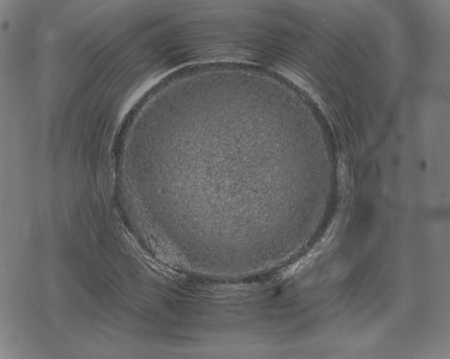 X0000072550925200607211355