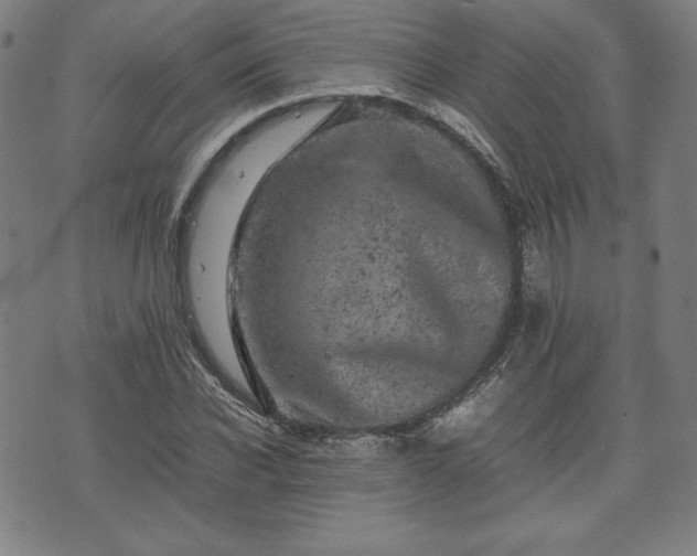 X0000072550926200607211355