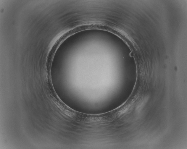 X0000072550927200607211355