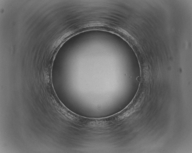 X0000072550929200607211355