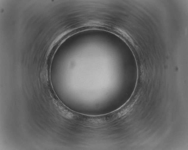 X0000072550931200607211355