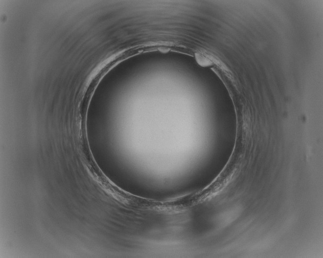 X0000072550933200607211355