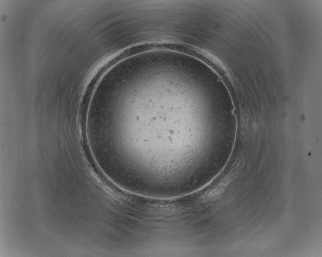 X0000072550935200607211355