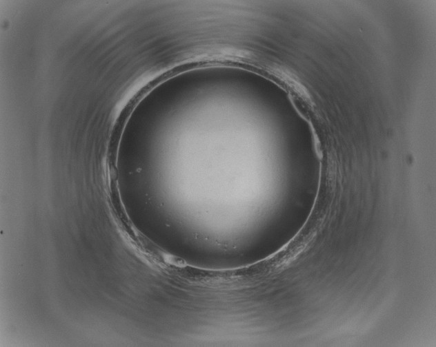 X0000072550936200607211355