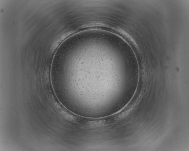 X0000072550937200607211355