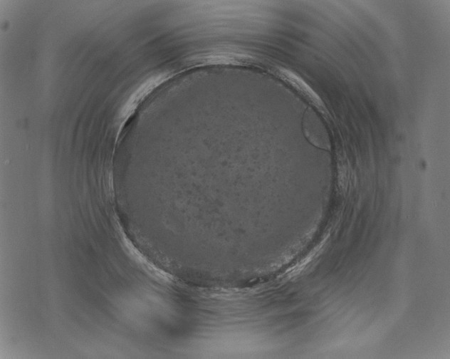 X0000072550938200607211355