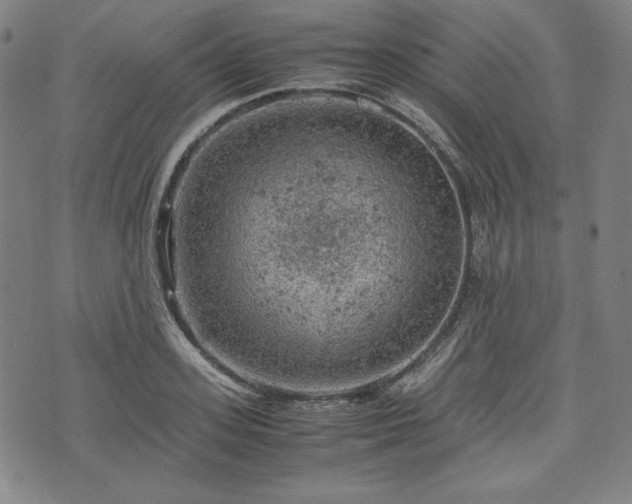 X0000072550939200607211355