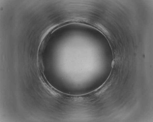 X0000072550940200607211355