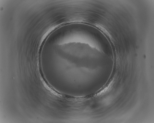 X0000072550941200607211355