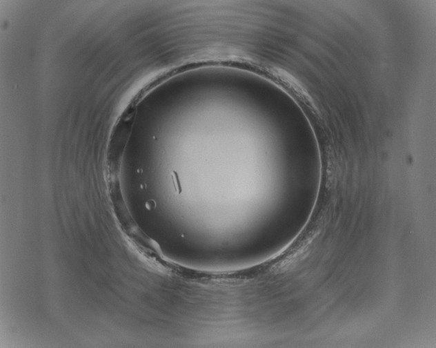 X0000072550942200607211355