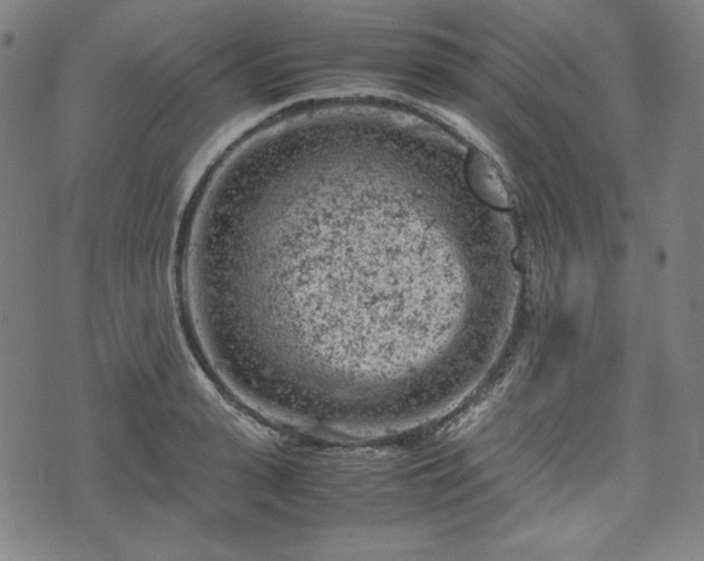 X0000072550943200607211355