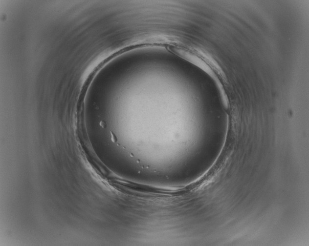 X0000072550944200607211356